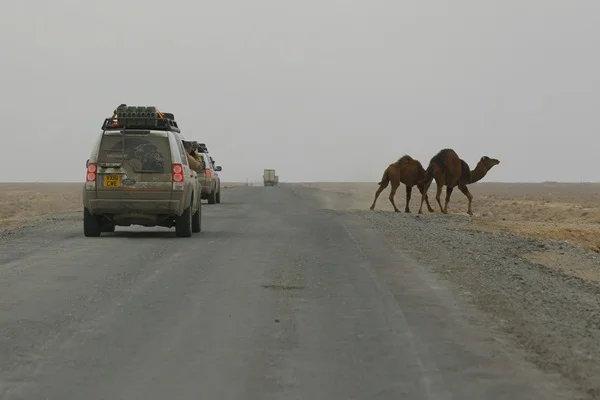 Land Rover Journey Of Discovery – Uzbekistan to Kazakhstan