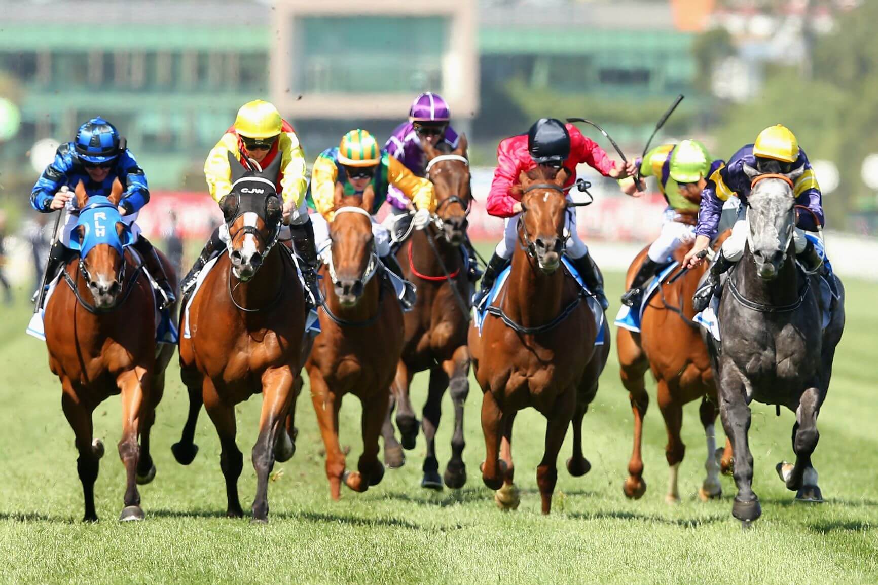 Melbourne Cup Australia